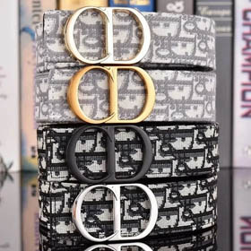 Cinturón Dior (17 + estilo)  